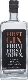 first gin