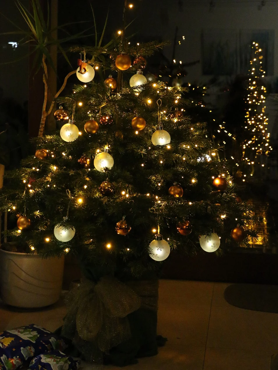 Fairy Lights in Christmas tree