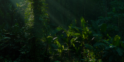 Natural Resources and Environment