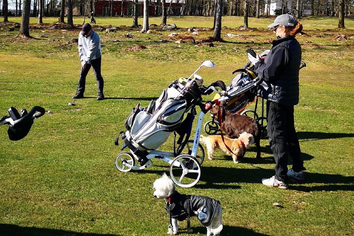 Bild för Ullared Flädje Golfklubb