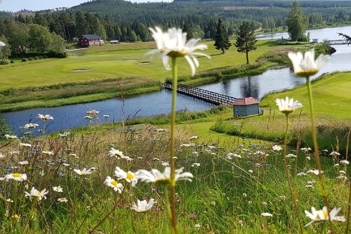 Bild för Hasselabygdens Golfklubb