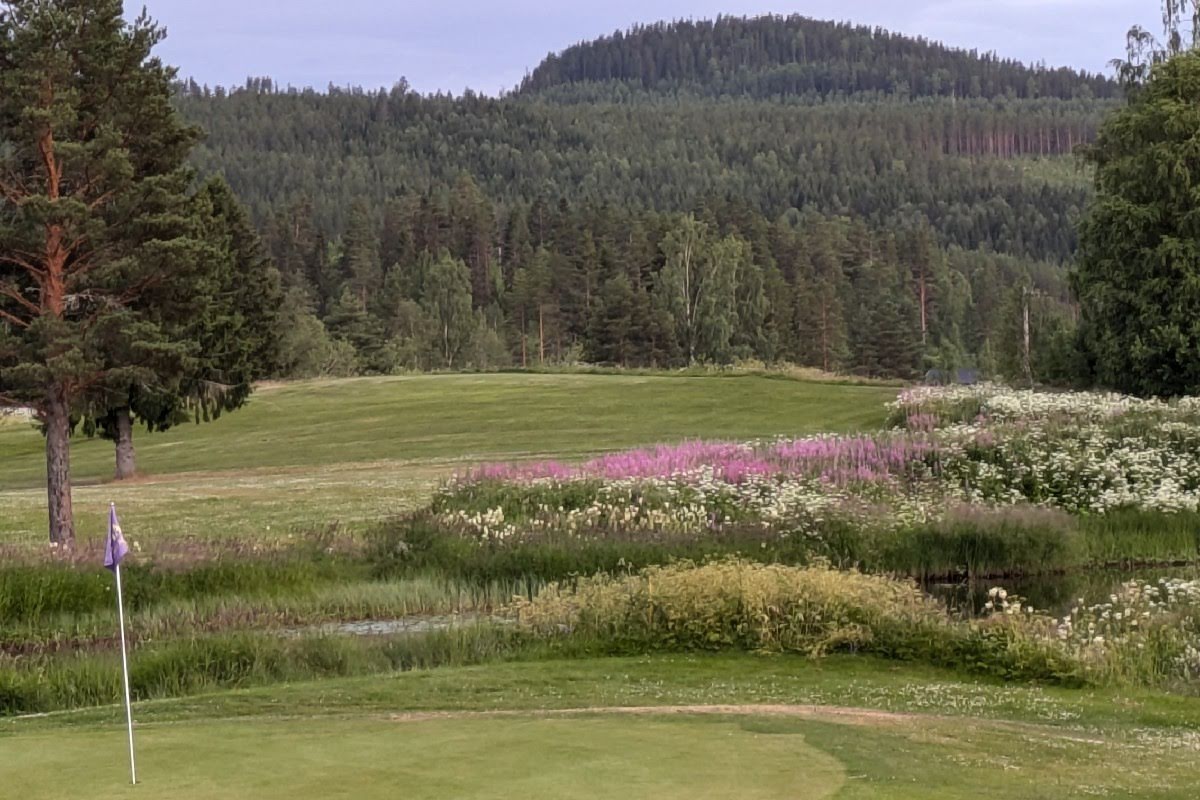 Bild för Hasselabygdens Golfklubb