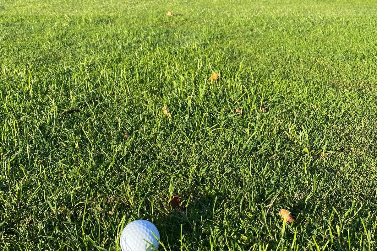 Bild för Ystad Golfklubb