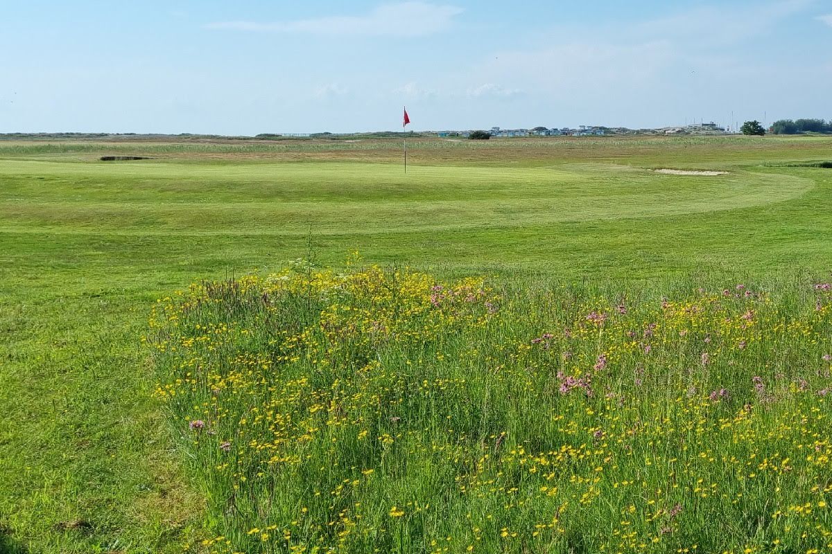 Bild för Flommens Golfklubb