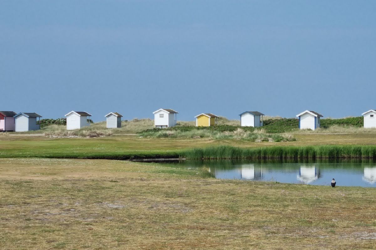 Bild för Flommens Golfklubb