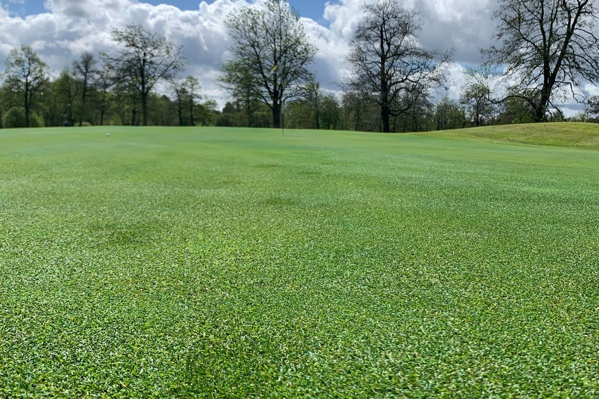 Bild för Kinds Golfklubb
