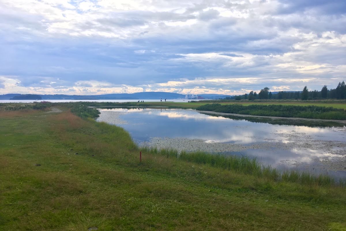 Bild för Timrå Golfklubb