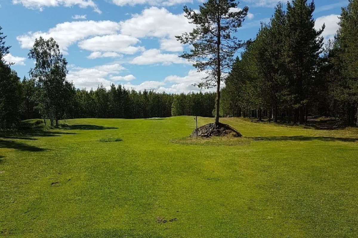 Bild för Åsele Nya Golfklubb