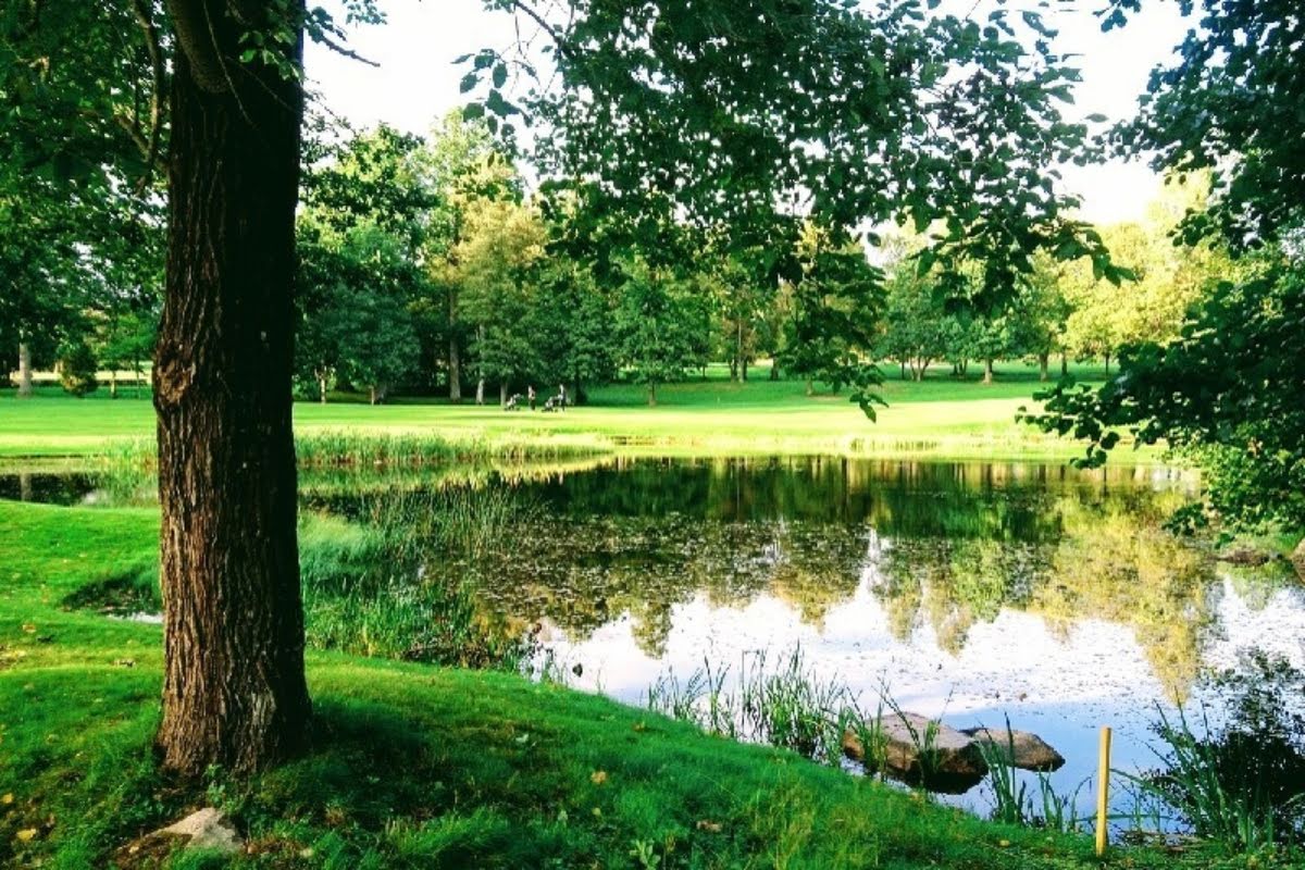 Bild för Växjö Golfklubb