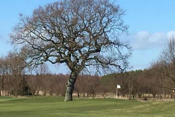 Bild för Ystad Golfklubb
