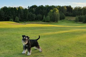 Bild för Fagersta Golfklubb