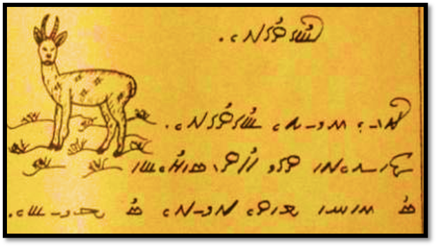 
                        Illustrative image for the The Script Encoding Initiative page
                     