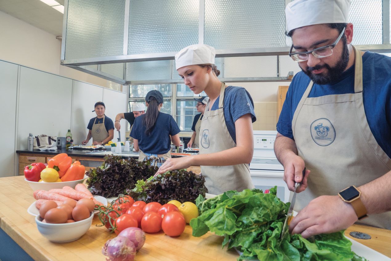 
                        Illustrative image for the The Nutritional Sciences Teaching Kitchen Fund page
                     