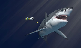 Codi's Glub: A robotic fish designed to scare away sharks