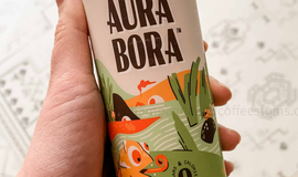 The Unique Experience of Aura Bora