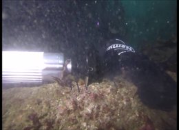 משחזת זווית תת-מימית