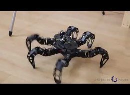 רובוט עכביש
