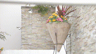 歯科クリニック求人動画制作事例