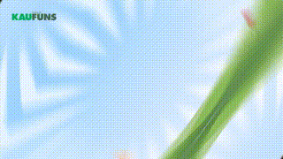 通販サービス紹介動画広告