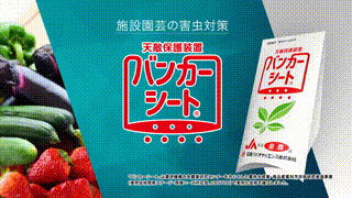害虫駆除商品紹介動画制作事例