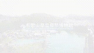 自然博物館動画広告事例
