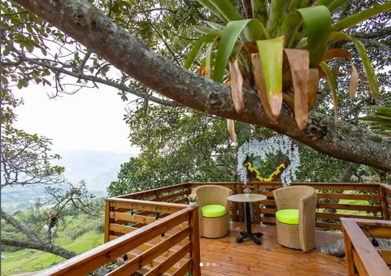 Glamping Glamping Saman El Nogal