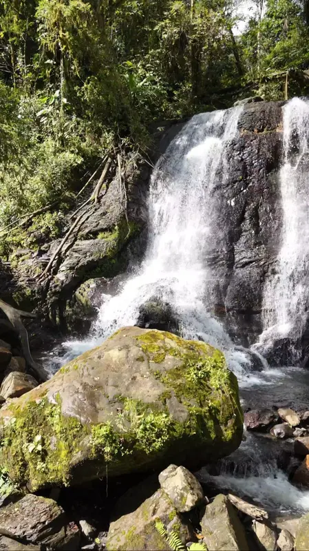 Glamping YATARO REFUGIO