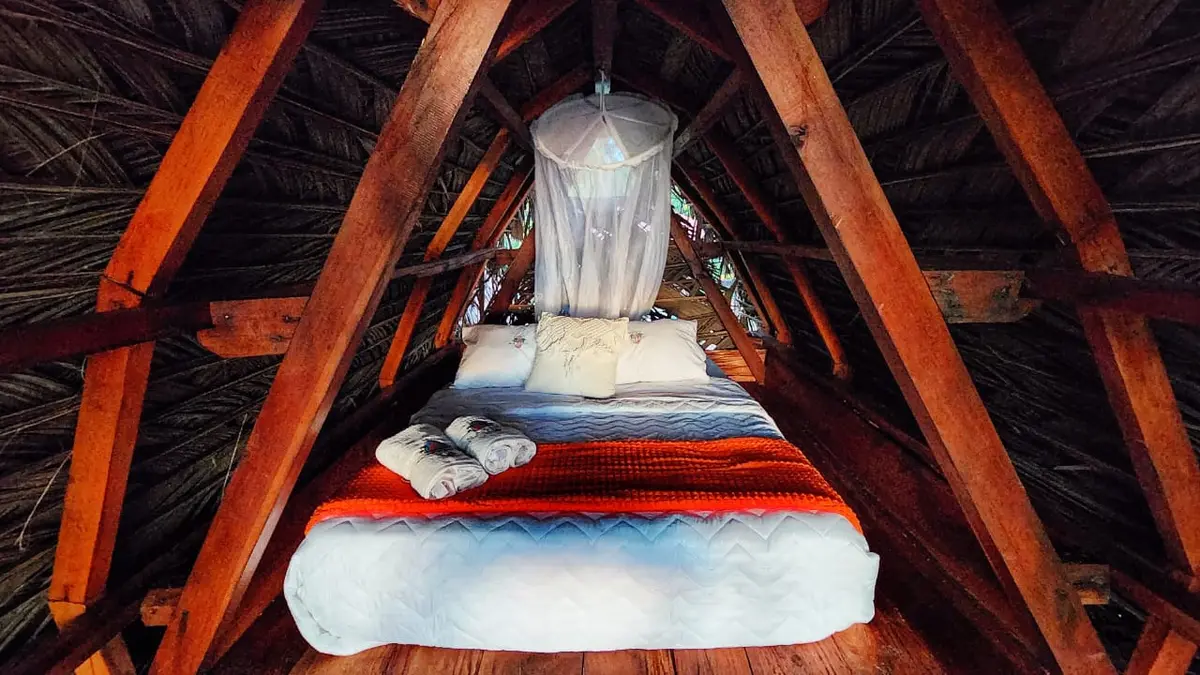 Glamping Mini Nativo 2
