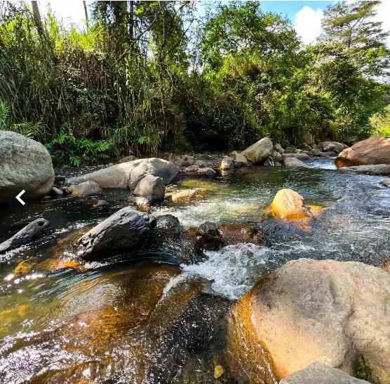 Glamping Casa Colibrí El Guadual