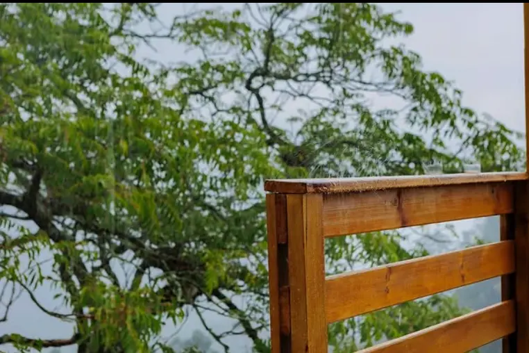Glamping Glamping Ceiba El Nogal