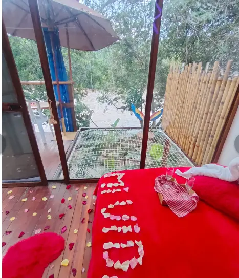 Glamping Tropical River Glamping