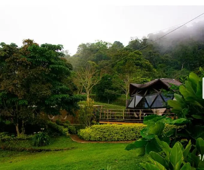 Vespertino Glamping Vergara - Cundinamarca