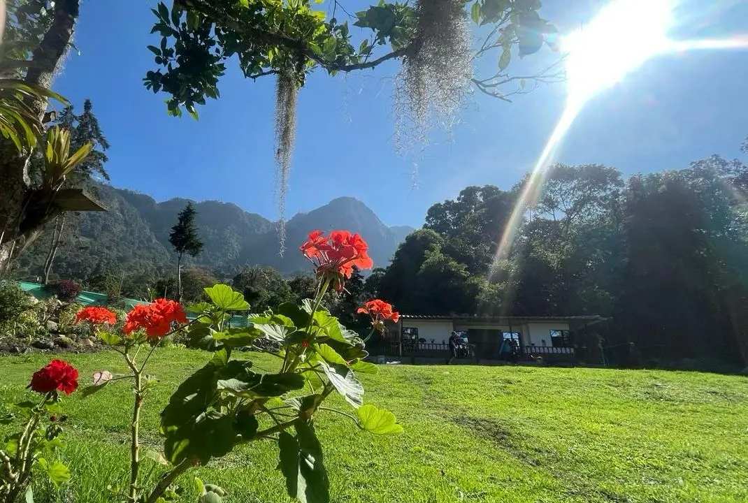Glamping La Cabaña 4 Domo TODO INCLUÍDO