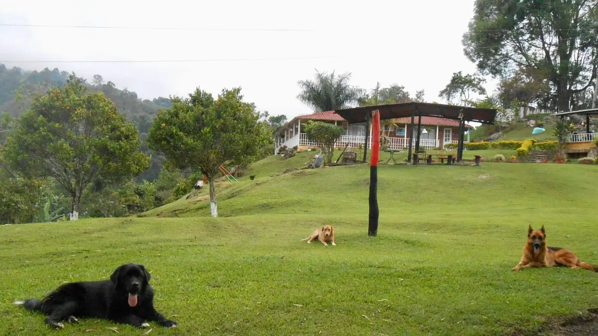 Glamping GLAMPING ASTRODOME EN PACHO CUNDINAMARCA