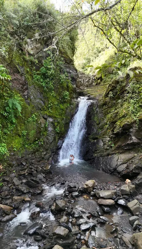 Glamping YATARO REFUGIO