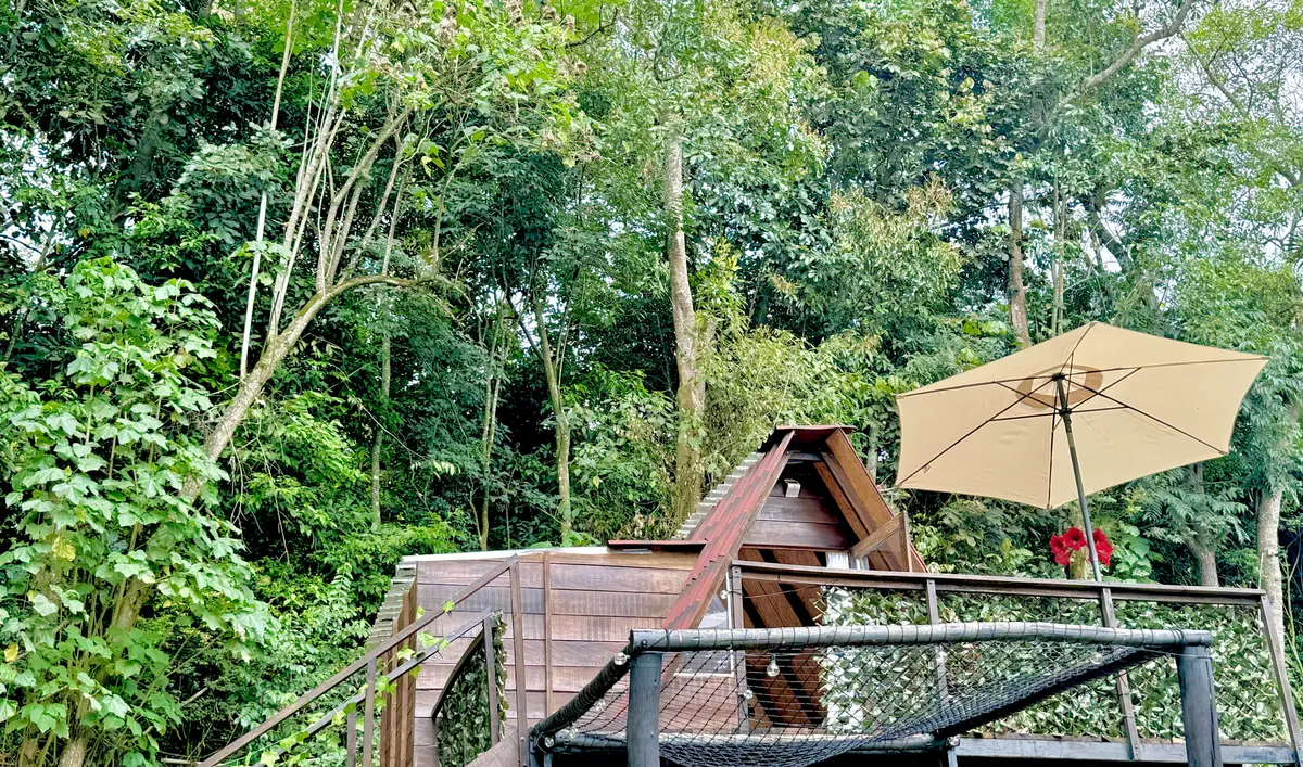 Glamping La Cabaña 2