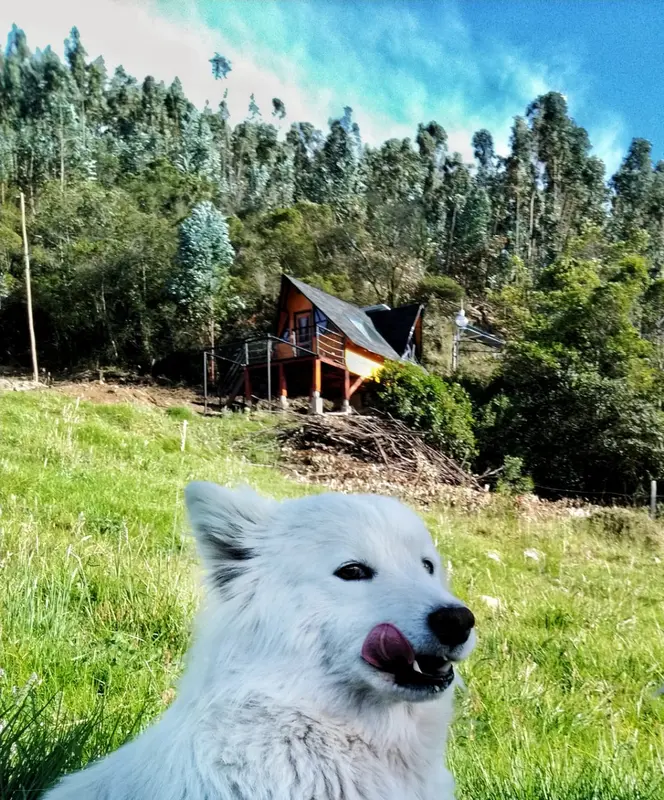 Glamping Glamping refugio Gaia 