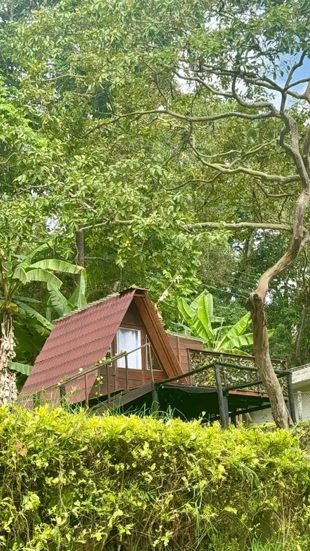 Glamping La Cabaña 2