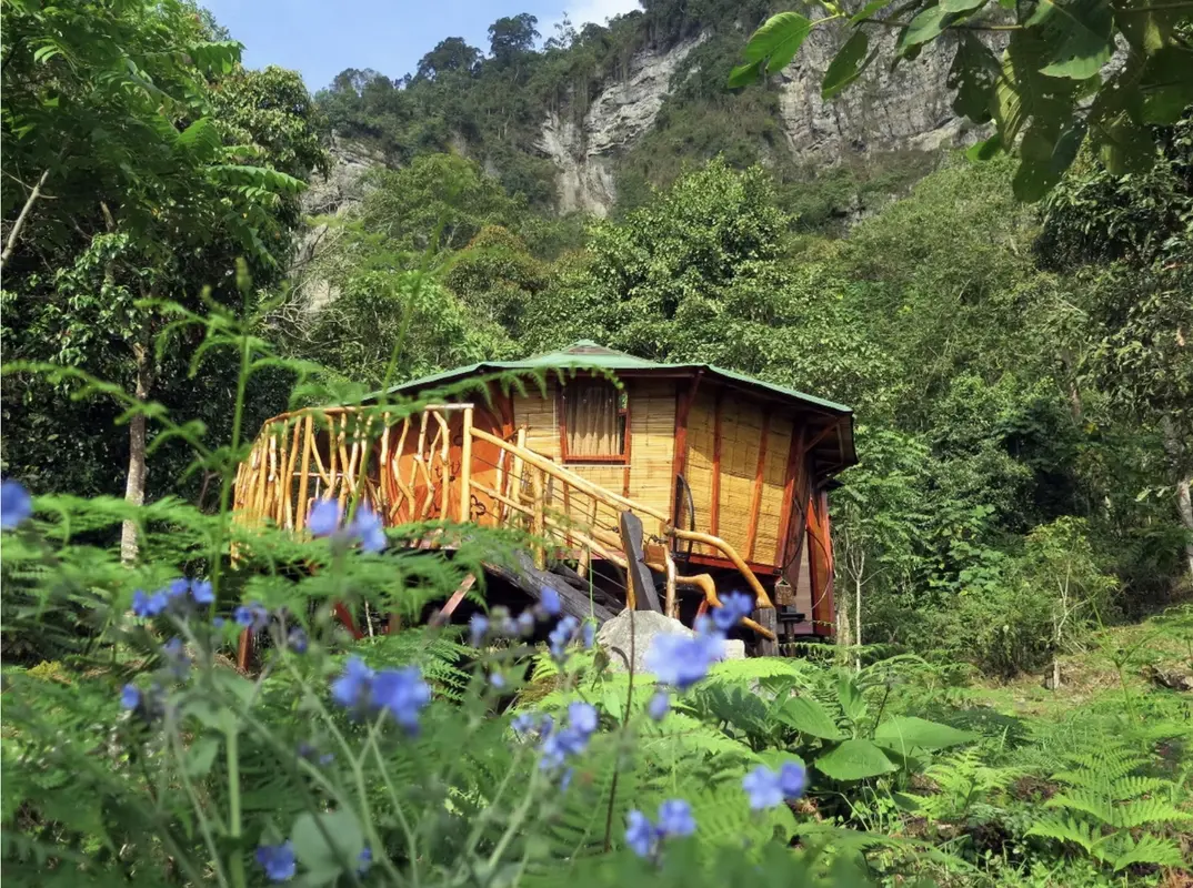 Glamping Bellota El Roble Chicaque