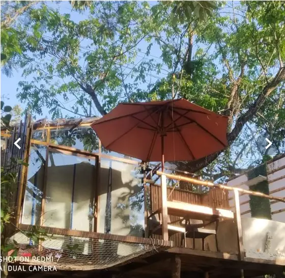Glamping Tropical River Glamping