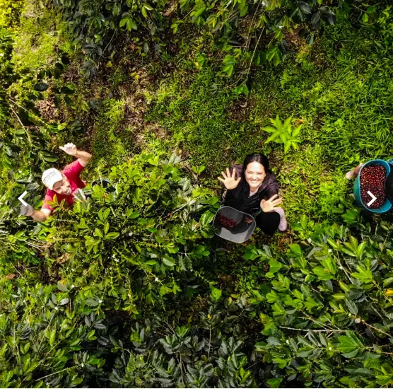 Glamping Casa Colibrí El Guadual