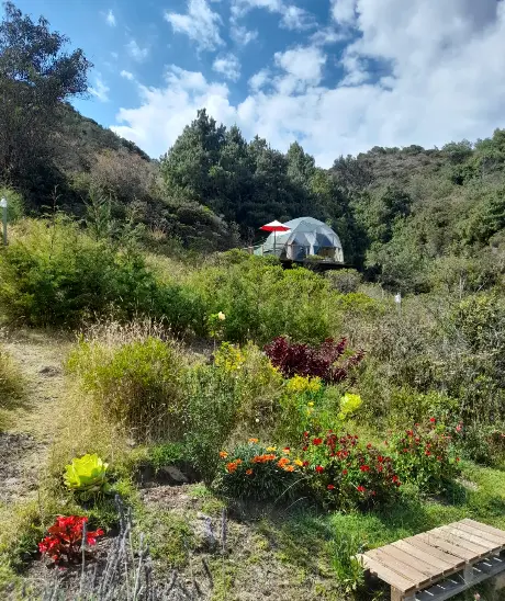 Glamping La Cacica