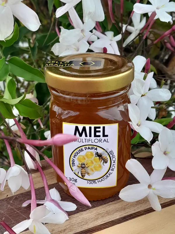 Glamping Tiny House Paipa Stambecco