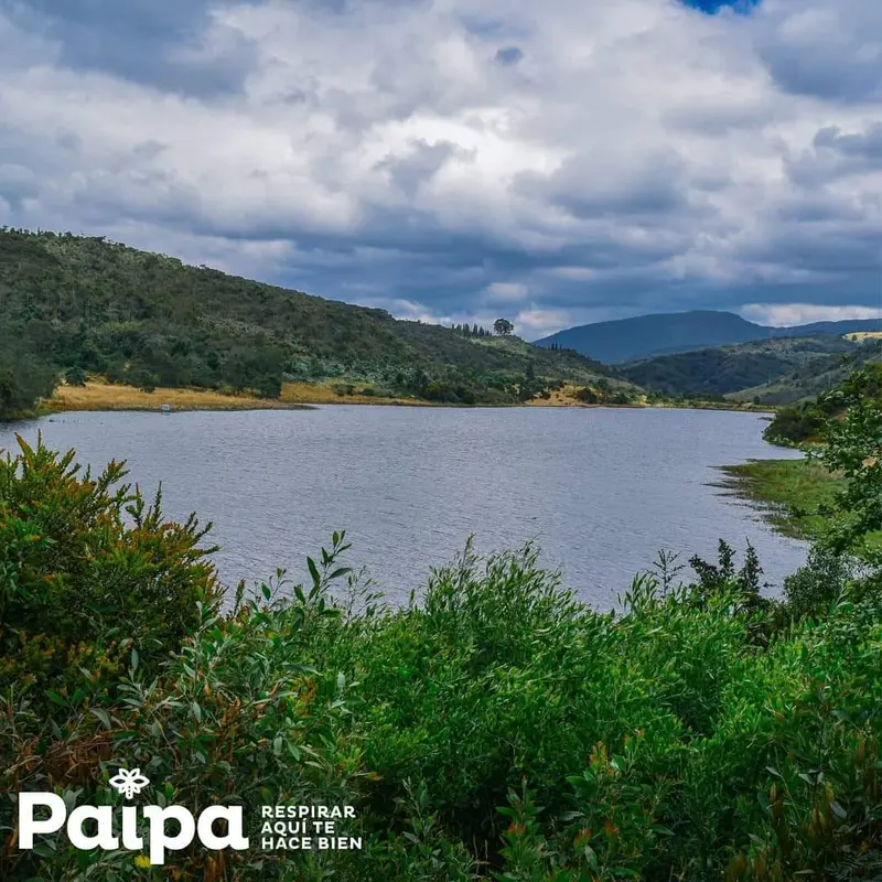 Glamping Tiny House Paipa Stambecco