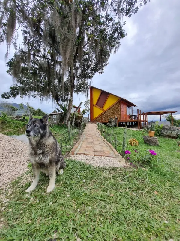 Glamping CABAÑA EL MUNDO AL REVES