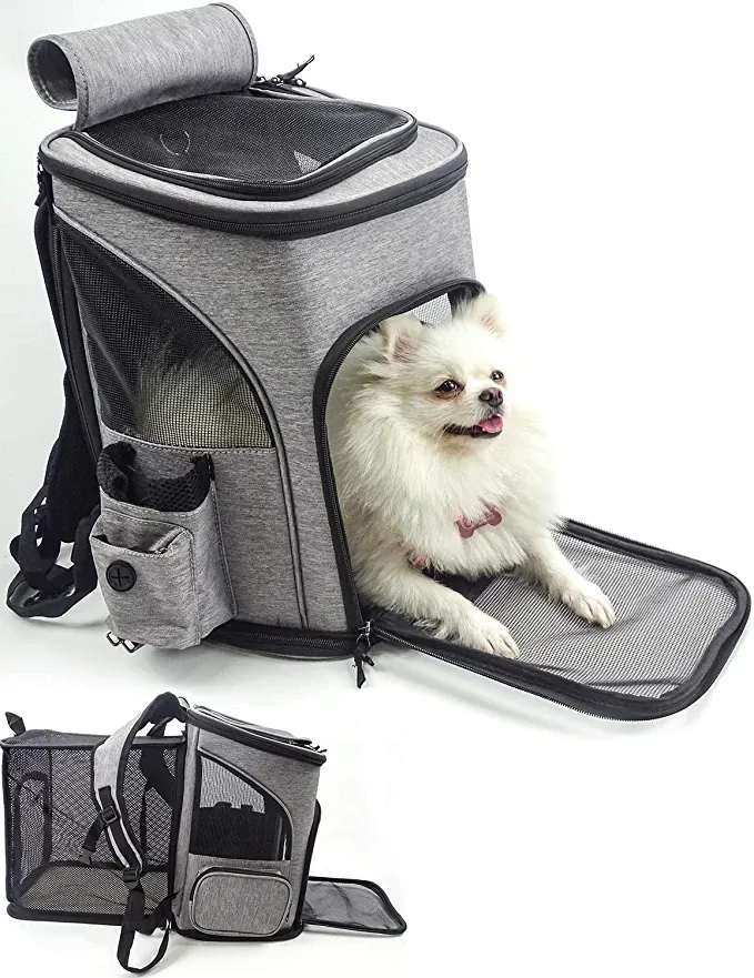 Traveling With Your Pets Have Never Been Easier With These Items