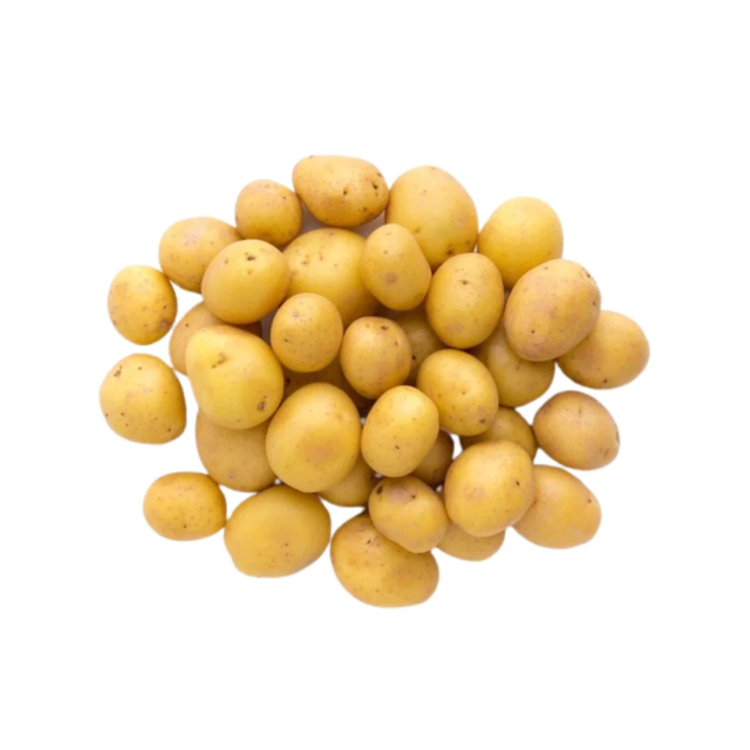 Small Yellow Marble Potato