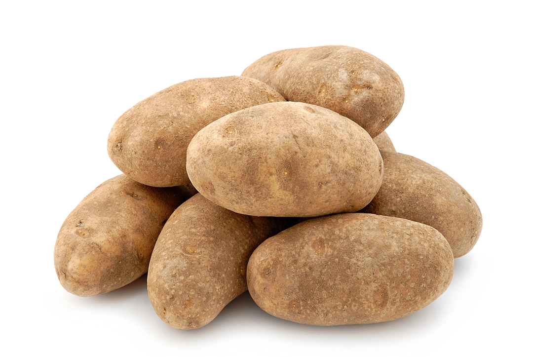 Russet Potato 60ct