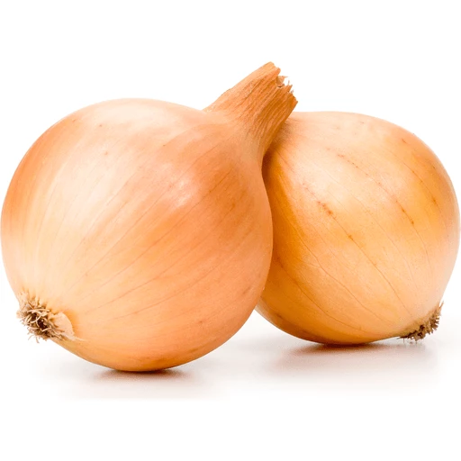 Yellow Onion Colossal