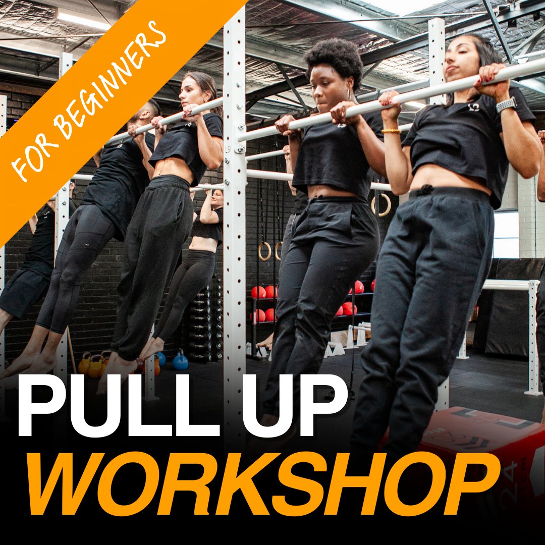 Pull Up Workshop